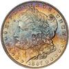 Lot 307 - Lot of Two Toned Battle Creek Morgans