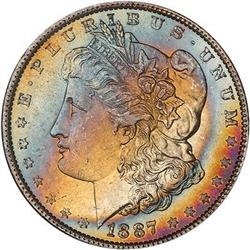 Lot 308 - Lot of Two Toned Battle Creek Morgans