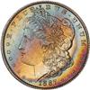 Lot 308 - Lot of Two Toned Battle Creek Morgans