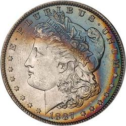 Lot 309 - Lot of Two Toned Battle Creek Morgans