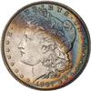 Lot 309 - Lot of Two Toned Battle Creek Morgans