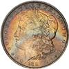 Lot 310 - Lot of Two Toned Battle Creek Morgans