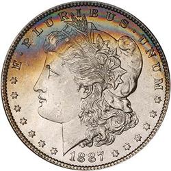 Lot 311 - Lot of Two Toned Battle Creek Morgans