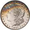 Lot 311 - Lot of Two Toned Battle Creek Morgans