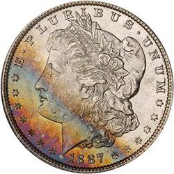 Lot 312 - Lot of Two Toned Battle Creek Morgans