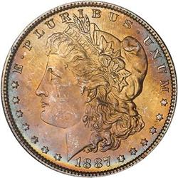 Lot 313 - Lot of Two Toned Battle Creek Morgans