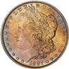 Lot 313 - Lot of Two Toned Battle Creek Morgans