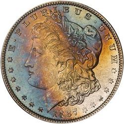 Lot 315 - Lot of Two Toned Battle Creek Morgans