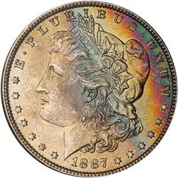 Lot 316 - Lot of Two Toned Battle Creek Morgans