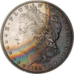 Lot 317 - Lot of Two Toned Battle Creek Morgans