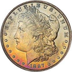 Lot 318 - Lot of Two Toned Battle Creek Morgans