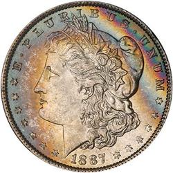 Lot 319 - Lot of Two Toned Battle Creek Morgans