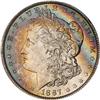 Lot 319 - Lot of Two Toned Battle Creek Morgans