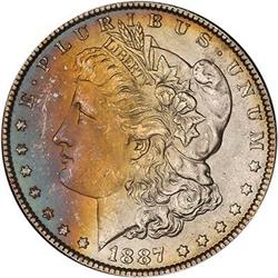 Lot 320 - Lot of Two Toned Battle Creek Morgans