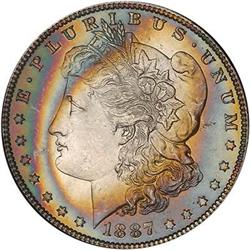 Lot 321 - Lot of Two Toned Battle Creek Morgans