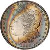 Lot 321 - Lot of Two Toned Battle Creek Morgans