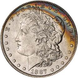 Lot 322 - Lot of Two Toned Battle Creek Morgans