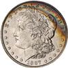 Lot 322 - Lot of Two Toned Battle Creek Morgans