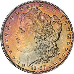 Lot 323 - Lot of Two Toned Battle Creek Morgans