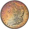 Lot 323 - Lot of Two Toned Battle Creek Morgans
