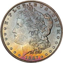 Lot 324 - Lot of Two Toned Battle Creek Morgans