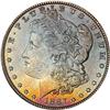 Lot 324 - Lot of Two Toned Battle Creek Morgans