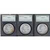 Lot 349 - Lot of Three 1887 Morgan Dollars. 7 over 6 PCGS MS60