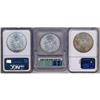 Image 2 : Lot 417 - Lot of Three Morgan Dollars NGC & ICG MS64-MS65