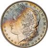 Lot 425 - Lot of Two Toned Battle Creek Morgans