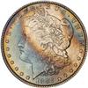 Image 2 : Lot 425 - Lot of Two Toned Battle Creek Morgans