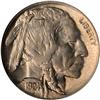 Image 1 : Lot 669 - 1924-D Buffalo Nickel NGC MS64