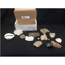 Box of Fossil Rock, Shells and Miscellaneous Rocks