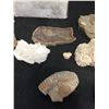 Image 4 : Box of Fossil Rock, Shells and Miscellaneous Rocks