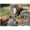 Image 19 : Cummins Engine 3972730 12V/95A Diesel QSB4.5 160HP Motor