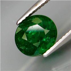 Natural Top Green Tsavorite Garnet 2.58 Cts