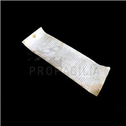 Once Upon a Time - Frozen Scroll Prop S04E11 (2812)