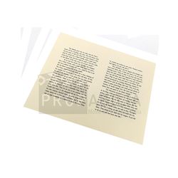 Once Upon a Time - Blue Fairy Storybook Page Prop (1394)