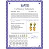 Image 2 : Genuine 14.3 ctw Citrine & Peridot Earrings 14KT Yellow Gold - REF-82A9K