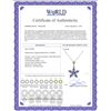 Image 2 : Genuine 1.40 ctw Tanzanite Necklace 14KT Rose Gold - REF-37F6Z
