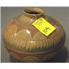 Image 2 : CASA GRANDE POT