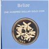 Image 1 : BELIZE GOLD COIN