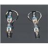 Image 1 : DIAMOND EARRINGS