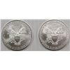 Image 2 : NINE PCS. 2008 AMERICAN SILVER EAGLES