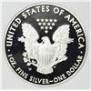 Image 2 : 2012 AMERICAN SILVER EAGLE