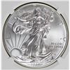 Image 1 : 2014-W AMERICAN SILVER EAGLE