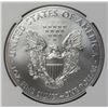 Image 2 : 2015 AMERICAN SILVER EAGLE