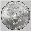 Image 2 : 2019 AMERICAN SILVER EAGLE