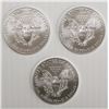 Image 2 : THREE 2019 AMERICAN SILVER EAGLES