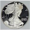 Image 1 : 1987 AMERICAN SILVER EAGLE