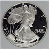 Image 1 : 1992 AMERICAN SILVER EAGLE